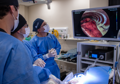 Cirurgia