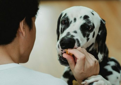 WhatsApp Image 2025-08-04 at 15.54.57