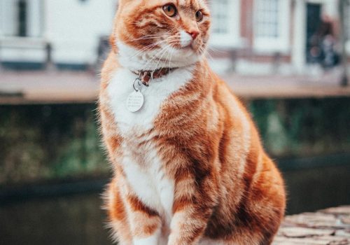 WhatsApp Image 2025-09-02 at 15.25.48