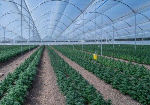 WhatsApp Image 2025-09-16 at 09.47.38