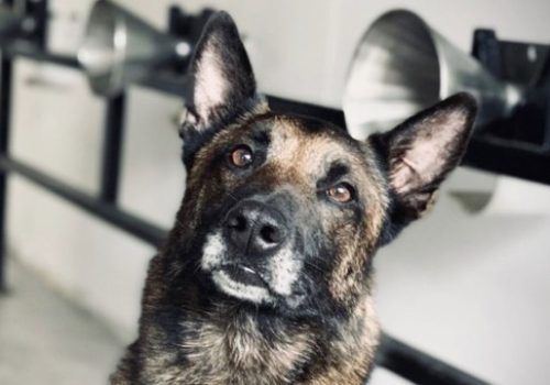 WhatsApp Image 2025-10-27 at 15.39.02