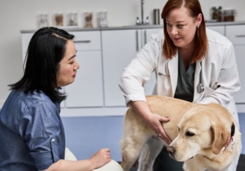 WhatsApp Image 2025-12-02 at 17.13.29