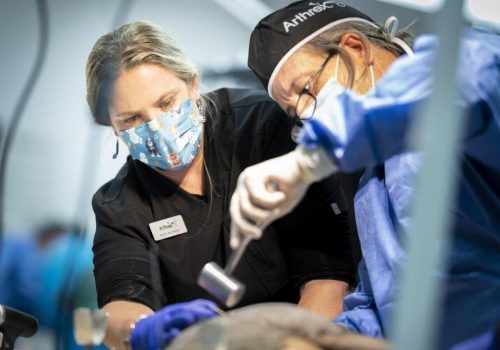 WhatsApp Image 2025-12-02 at 17.14.21