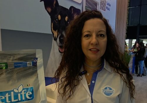 WhatsApp Image 2025-12-15 at 12.13.07