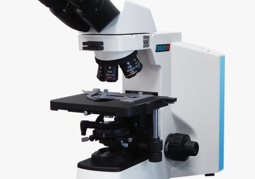 WhatsApp Image 2026-02-04 at 11.27.01